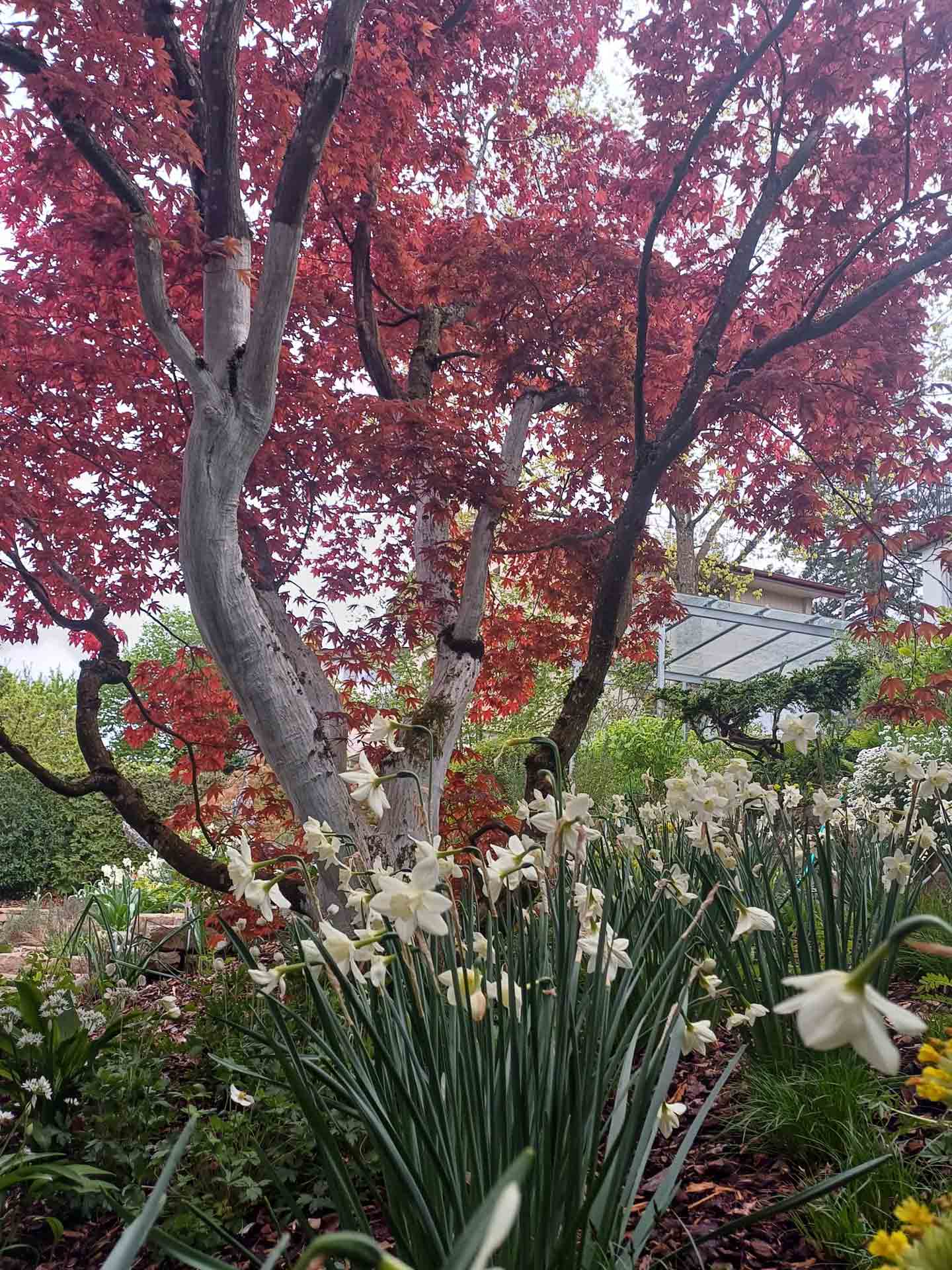 PHOTO-2025-06-15-14-52-43