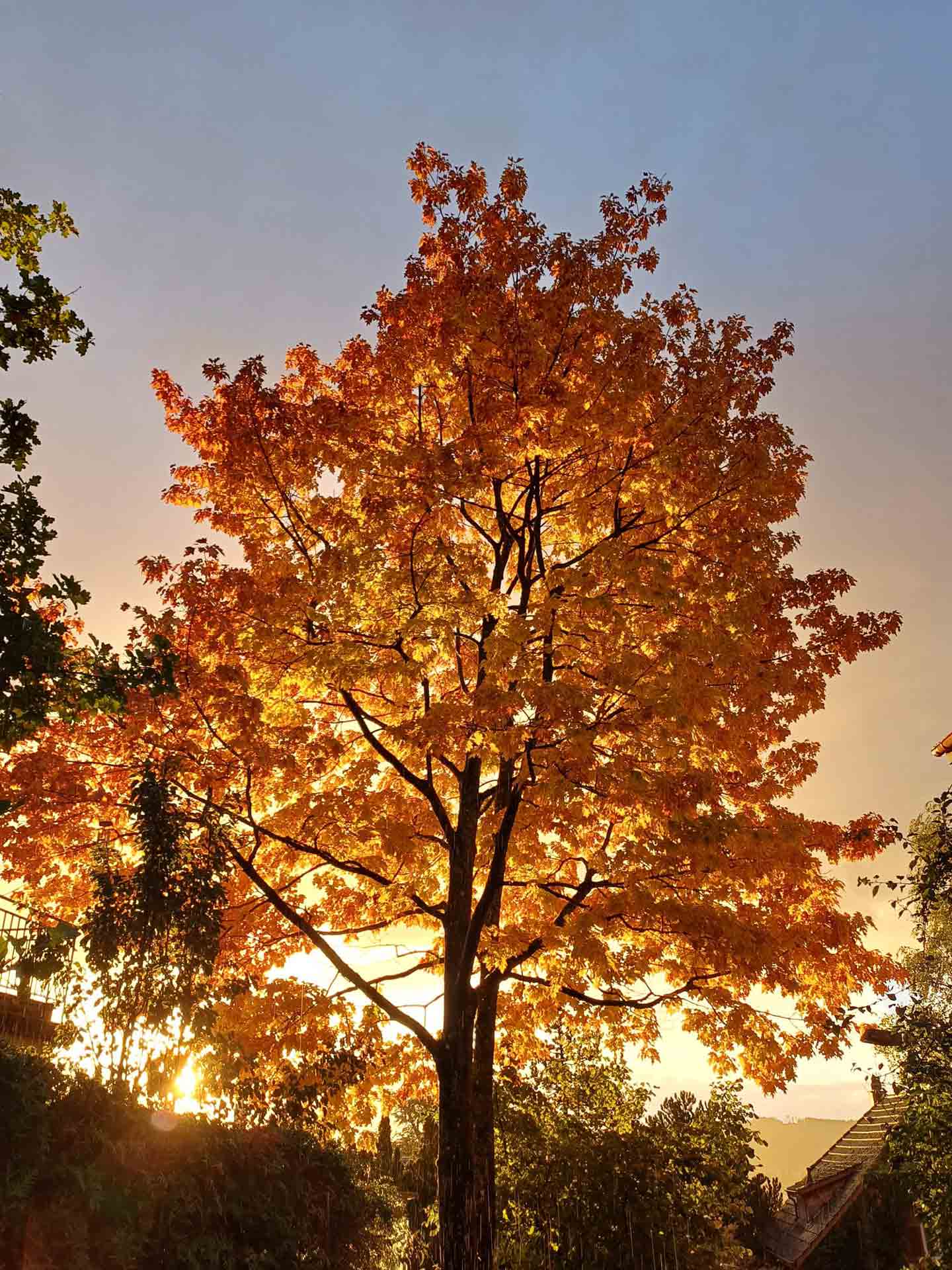 PHOTO-2025-06-15-14-53-11